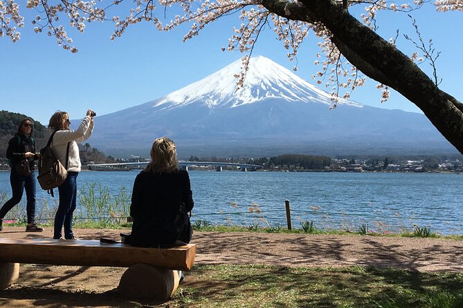 Mt Fuji Private Day Tour from Tokyo with English Speaking Driver - Key Details You Should Know Up Front