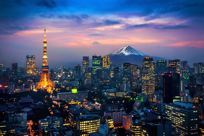 Mt Fuji Private Day Tour from Tokyo with English Speaking Driver - Private Mt. Fuji Means You Control the Day