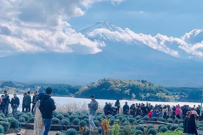 Mt Fuji Private Day Tour from Tokyo with English Speaking Driver - Stop 1: Mt. Fuji Viewing Locations and Hakone in One Day