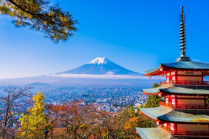 Mt Fuji Private Day Trip from Tokyo with English Speaking Driver - Key things to know before you go