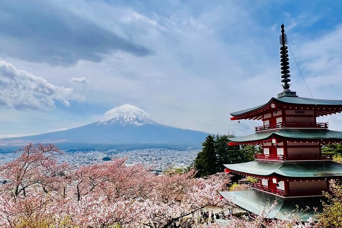 Mt Fuji Private Day Trip from Tokyo with English Speaking Driver - Stop 1: Oshino Hakkai and the calm of eight spring ponds