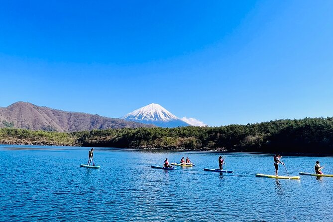 Mt Fuji Private Day Trip from Tokyo with English Speaking Driver - Stop 2: Chureito Pagoda for the iconic Fuji viewpoint