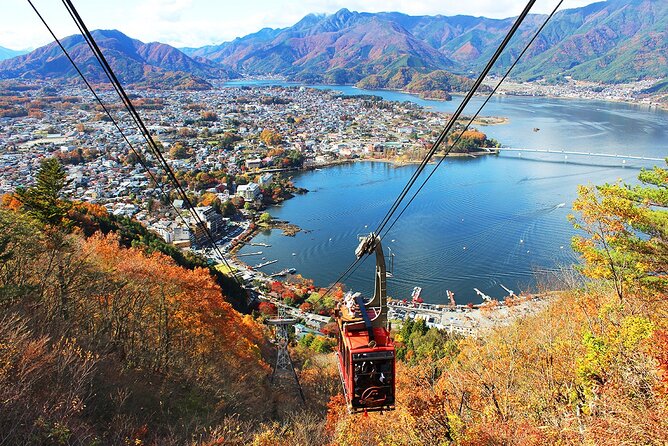 Mt Fuji Private Day Trip from Tokyo with English Speaking Driver - Ropeway time: Mt. Fuji Panoramic Ropeway with budget-friendly planning