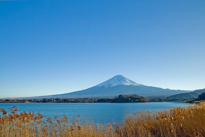 Mt Fuji Private Day Trip from Tokyo with English Speaking Driver - 8:00 am pickup, meet-and-greet, and Wi‑Fi during the drive