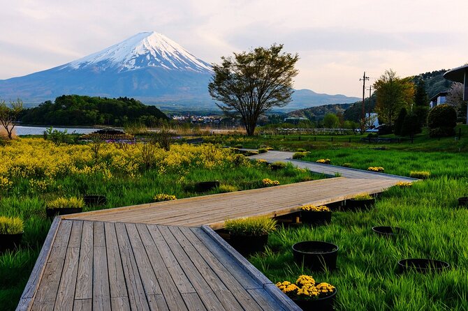 Mt.Fuji Private SightSeeing Day Tour (From Tokyo) - Price and Value for a Group of Up to Six