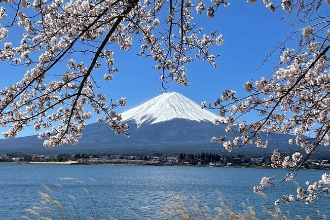 Mt Fuji Private Sightseeing Tour from Tokyo - Key highlights worth paying attention to