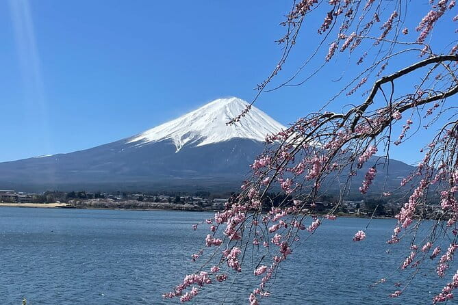 Mt Fuji Private Sightseeing Tour from Tokyo - How the private ride works: pickup, 10 hours, and your Fuji rhythm