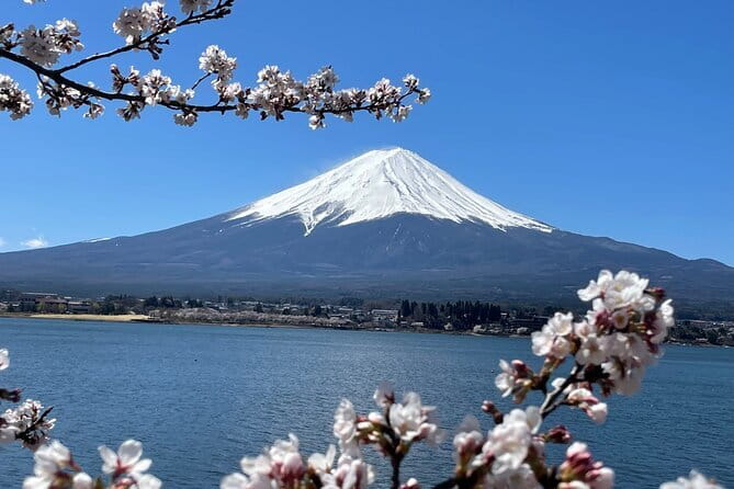 Mt Fuji Private Sightseeing Tour from Tokyo - Oshino Hakkai ponds: springs, thatched roofs, and quiet time