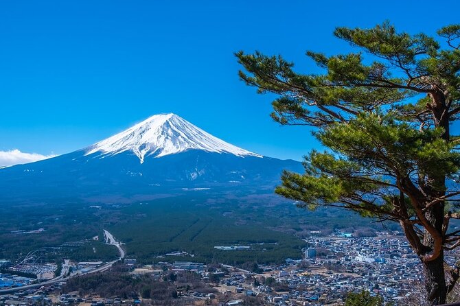 Mt. Fuji Private Tour by Car with Pick-up from Tokyo - Weather and season checks for 5th Station access