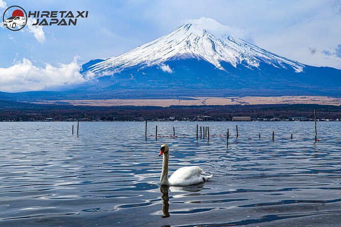 MT. FUJI/ Private Tour delivered and guided by a top-tier driver - Price: what $724.78 per group really buys you