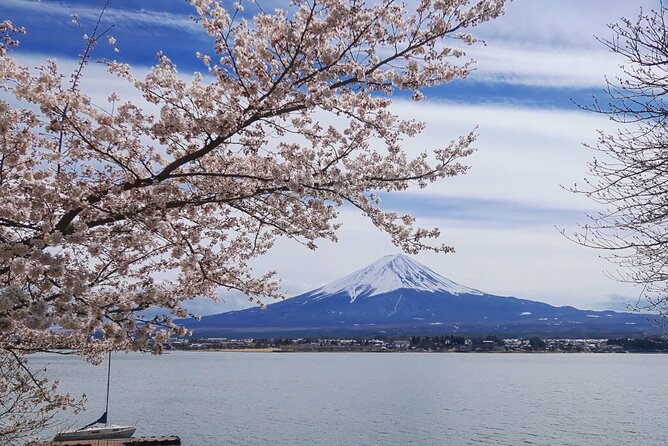 Mt. Fuji Private Tour with English Speaking Driver - English-Speaking Driver: What You Gain (and What to Watch For)