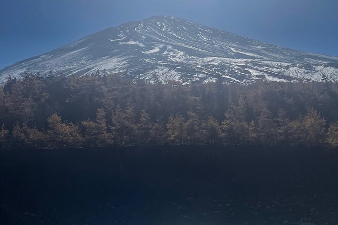 Mt. Fuji Private Tour with English Speaking Driver - Weather Reality: Your Mt. Fuji Day Depends on More Than Plans