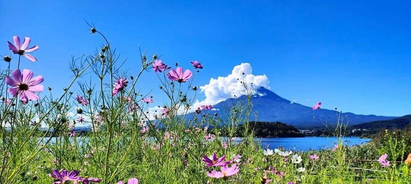 Mt. Fuji Private Tour With Hotel Pick Up From Tokyo - Key things to know before you go