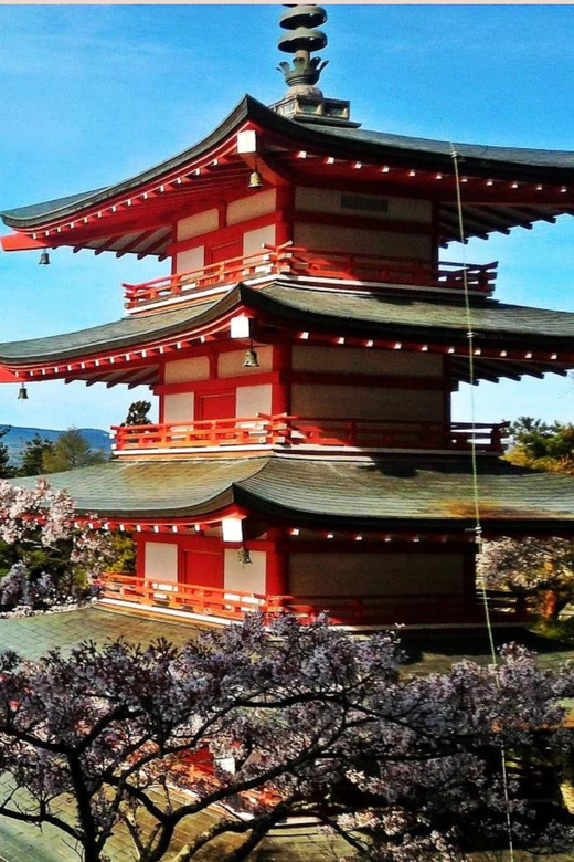 Mt Fuji Sightseeing Private tour with English Speaking Guide - Aokigahara Forest Walk and Owakudani Valley: Cool Shade, Then Hot Earth