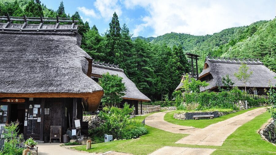 Mt Fuji Sightseeing Private tour with English Speaking Guide - Your Guide and Driver: Why Names Like Ali and Usman Keep Coming Up