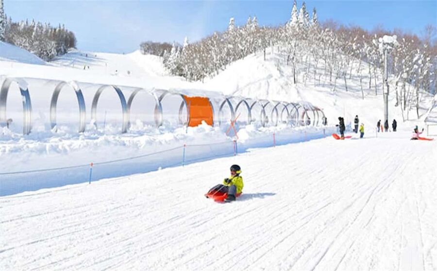 Mt. Fuji Skiing Experience- YETI Ski Resort & Onsen Day Trip - Practical Tips That Make This Day Trip Run Smoothly