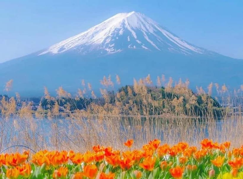 Mt Fuji Top 5 Spots Day Tour: Arakurayama Park,Oshino Hakkai - Key points I’d circle on your map