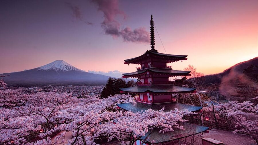 Mt Fuji Tour With Experienced English Driver - Key Points at a Glance