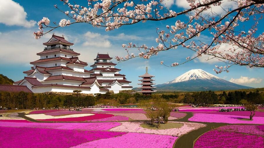 Mt Fuji Tour With Experienced English Driver - Mt Fuji 5th Station: Your Best Chance at a Big, Clear View