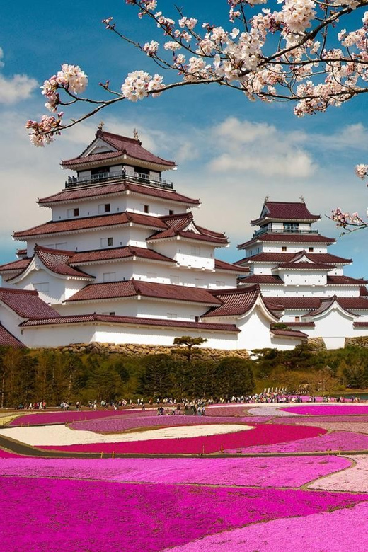 Mt Fuji Tour With Experienced English Driver - Oishi Park: A Short Break With Big Views