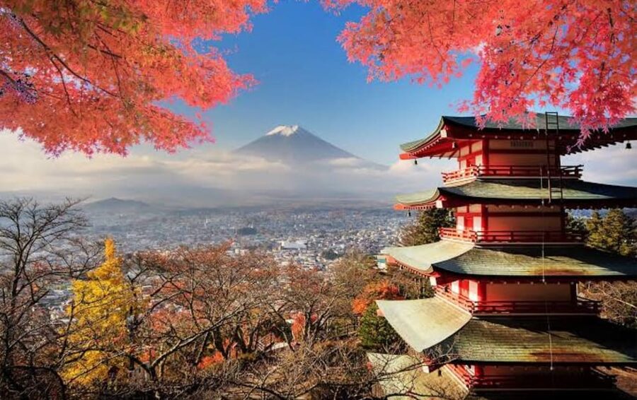Mt Fuji Tour With Experienced English Driver - Saiko Iyashi-no-Sato Nenba: A Village-Style Pause From Pure Scenery