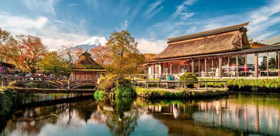 Mt Fuji Tour With Experienced English Driver - Private English Driver and the Air-Conditioned Van: Comfort You Feel