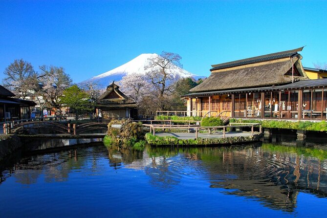 Mt. Fuji Tours with Kawaguchi Lake Ropeway View English Speaking - Stop 4: Oishi Park when lavender season flips the color