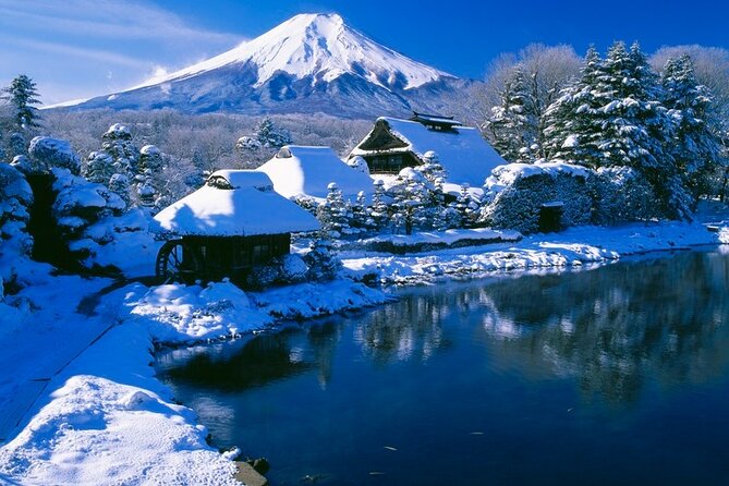 Mt. Fuji Tours with Kawaguchi Lake Ropeway View English Speaking - Price and value: what $81.41 really buys you
