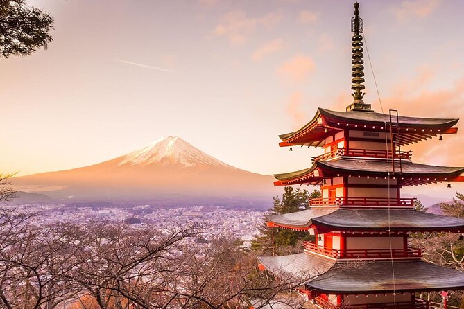 Mt. Fuji Tours with Kawaguchi Lake Ropeway View English Speaking - Pickup and timing: the part that decides your mood