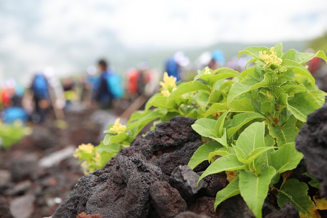 Mt.Fuji Trekking 1 Day Tour up to the summit - Price and Value: What $2,939.43 per Group Really Means