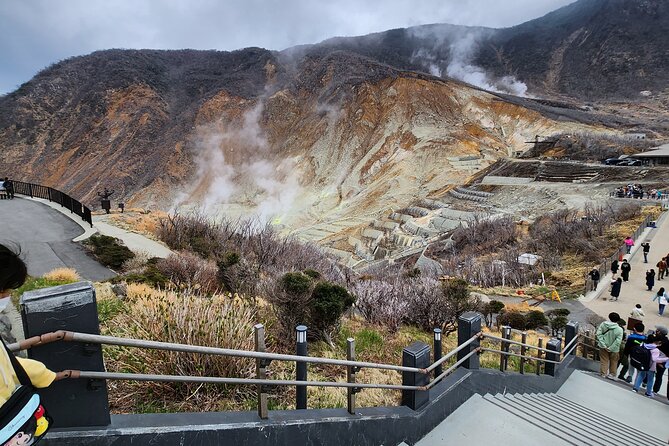 Mt.Fuji view Hakone Private tour with English speaking driver - Hakone Jinja and Lakefront Shrine Views Without the Rush