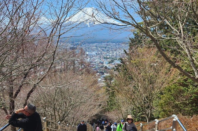 Mt.Fuji view Hakone Private tour with English speaking driver - Price and Value for a Group of Up to 6