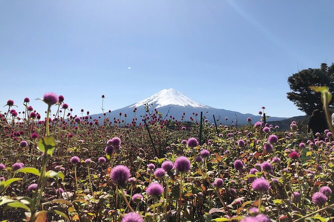 Mt Fuji with Kawaguchiko Lake Day Tour - Price and Logistics: Is $95 Good Value?