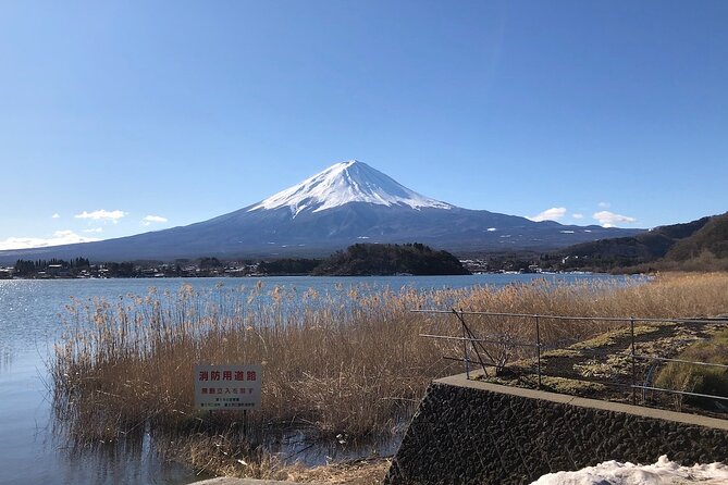 Mt Fuji with Kawaguchiko Lake Day Tour - Timing Tips, Photo Notes, and the Stuff That Can Make or Break the Day