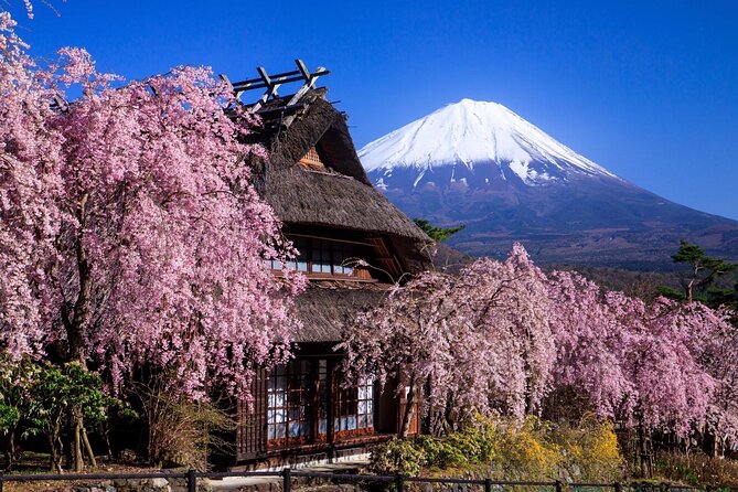 Muslim Friendly Mt. Fuji Tour with Halal Lunch and Prayer Time - Why this Mt. Fuji tour feels built for Muslim travelers