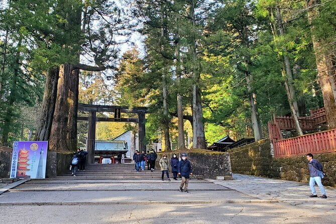 Nagano Private Tour With English Speaking Driver - Jigokudani Snow Monkey Park: The Hot-Spring Walk You Should Time Right