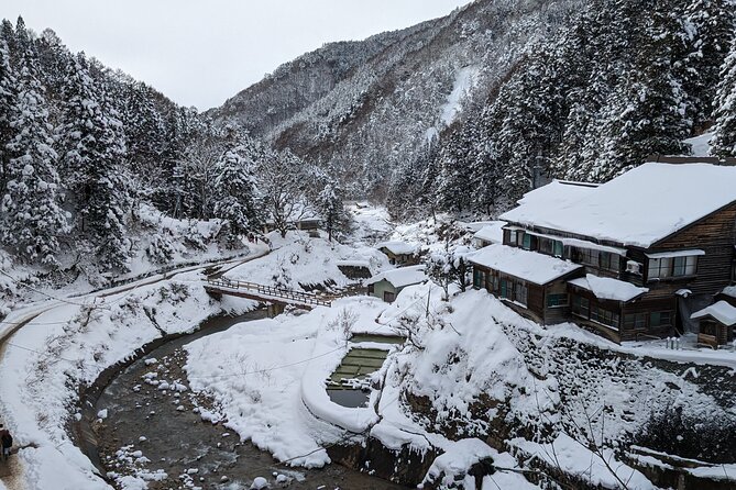 Nagano Snow Monkey 1 Day Tour with Beef Sukiyaki Lunch from Tokyo - The small details that make or break your day