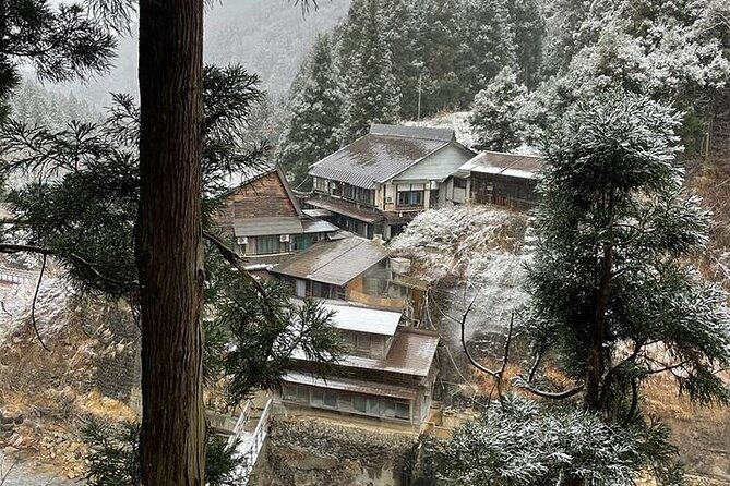 Nagano: Snow Monkey and Zenkoji Temple Free Sake Taste Day Tour - Private Transportation Value: When $560 per Group Actually Works