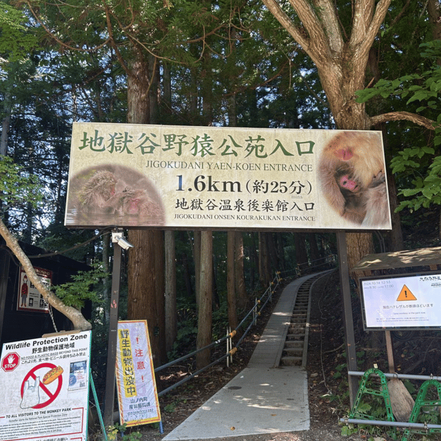 Nagano/Tokyo: Snow Monkey Private Day Tour At Lowest Rate - Jigokudani Snow Monkey Park: the morning payoff