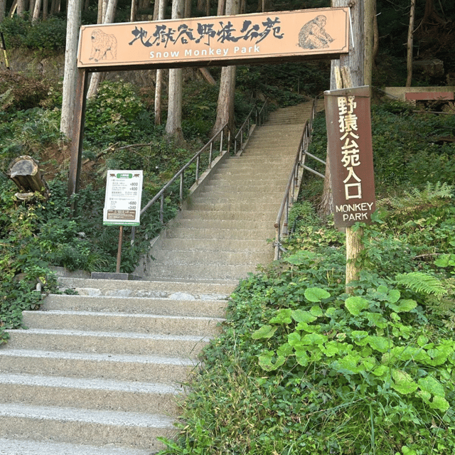 Nagano/Tokyo: Snow Monkey Private Day Tour At Lowest Rate - Matsumoto Castle and samurai-era options: choosing your feudal moment