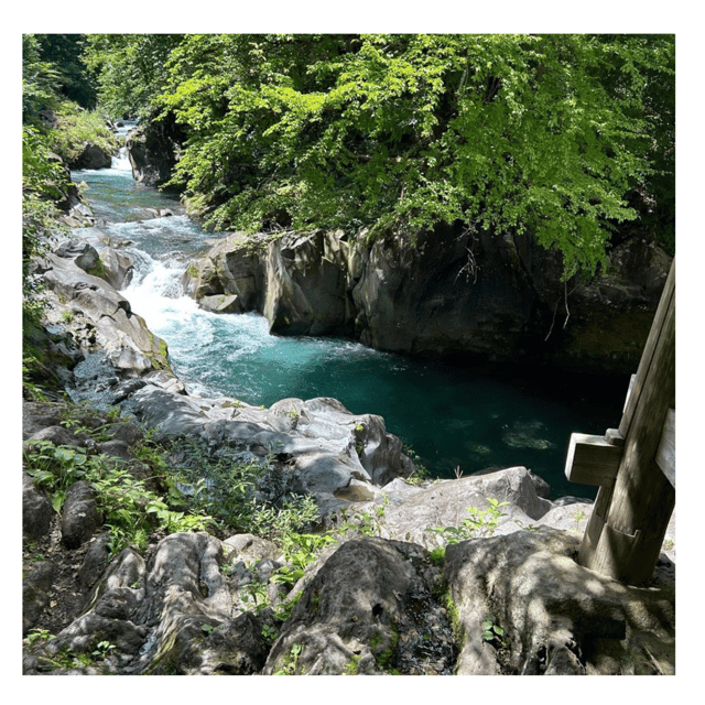 Nagano/Tokyo: Snow Monkey Private Day Tour At Lowest Rate - Obuse: the sweet stop that still feels local