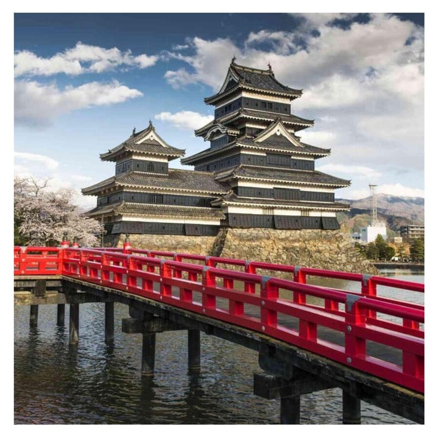 Nagano/Tokyo: Snow Monkey Private Day Tour At Lowest Rate - Should you book this Nagano and Snow Monkey private day tour?