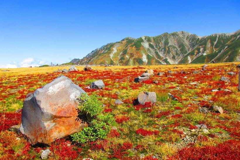 Nagano: World’s Edge Tateyama Kurobe Alpine Route Tour - Private Pickup Around Nagano and a Simple Start