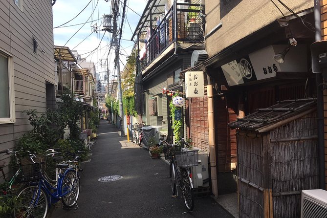Nezu Shrine and Yanaka backstreet walking tour by Storyteller - Yanaka Ginza Shopping Street: Where Snacks Become Part of the Route