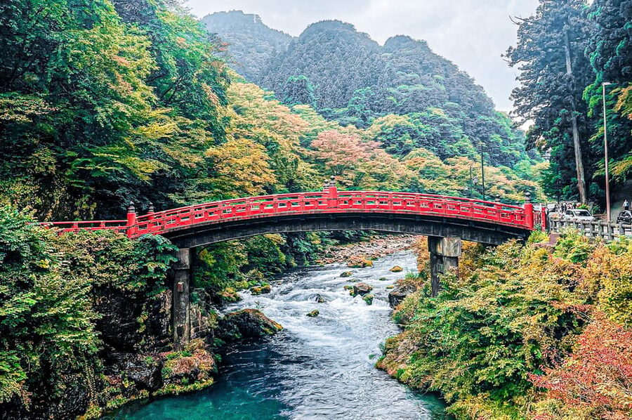 Nikko: Day Tour from Tokyo in Spanish - Spanish - Getting to Nikko: express trains, reserved seats, and how not to waste time