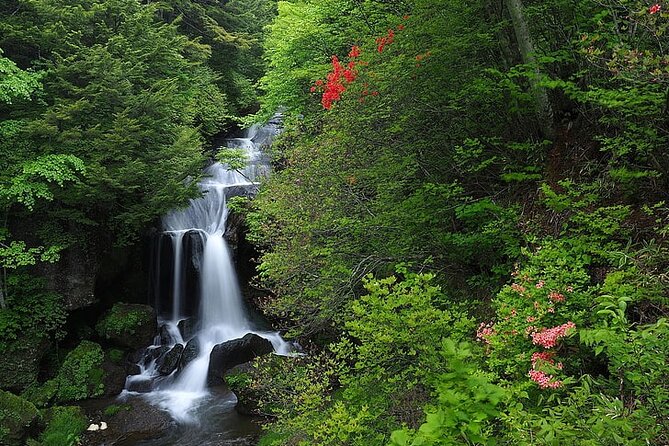 Nikko Day Tour Private with English Speaking Driver - Key things I’d focus on before you go