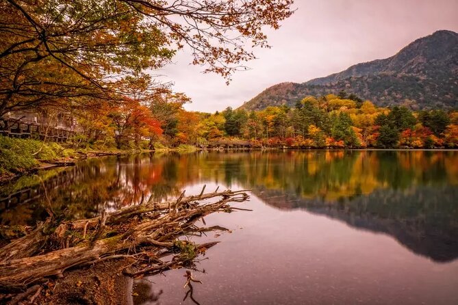 Nikko Day Tour Private with English Speaking Driver - Private Pickup From Tokyo: Comfort, Timing, and an English Guide