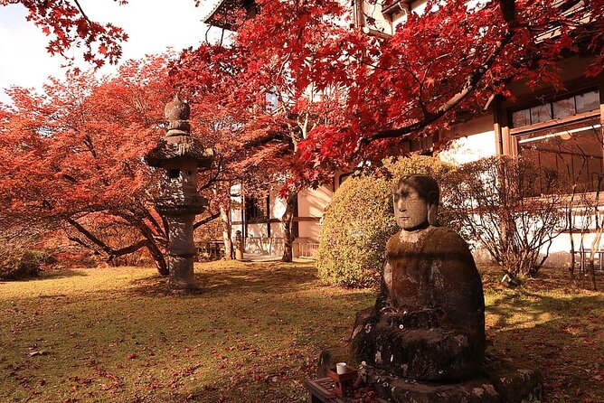 Nikko Day Tour Private with English Speaking Driver - The Drive Plan: 2.5 Hours Each Way and a 10-Hour Day