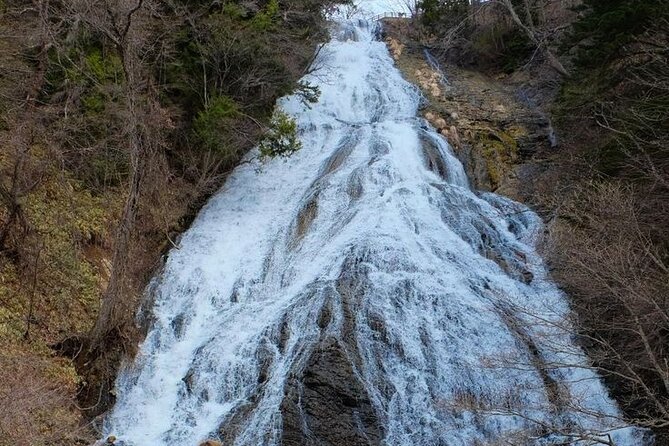 Nikko Full day private experience with English speaking Driver - Price and entry fees: how to judge whether $426.96 per group is good value