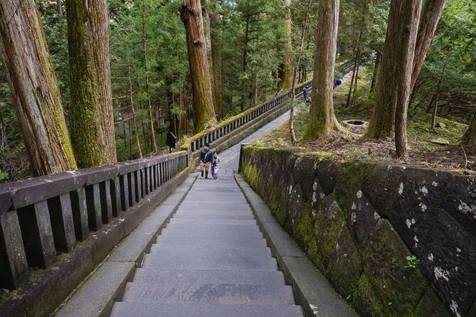 Nikko Full day private experience with English speaking Driver - Who this Nikko day tour suits best
